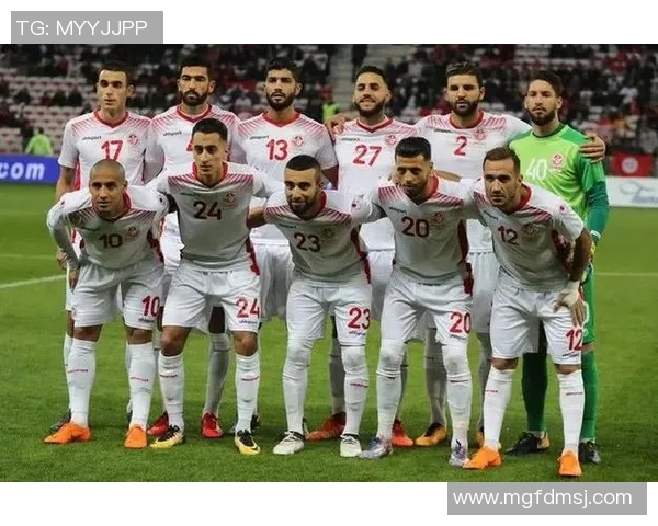 突尼斯与英格兰比赛前瞻及胜负预测分析详解