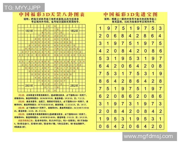 探索3D和值尾振幅的奥秘与应用潜力分析