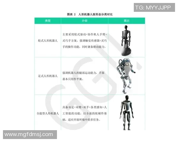 探索nextorch的创新科技与未来发展潜力分析