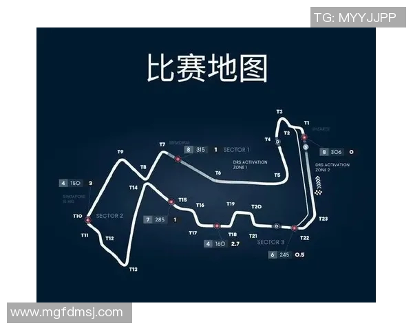 尼姆与里昂首发阵容解析及比赛前瞻分析