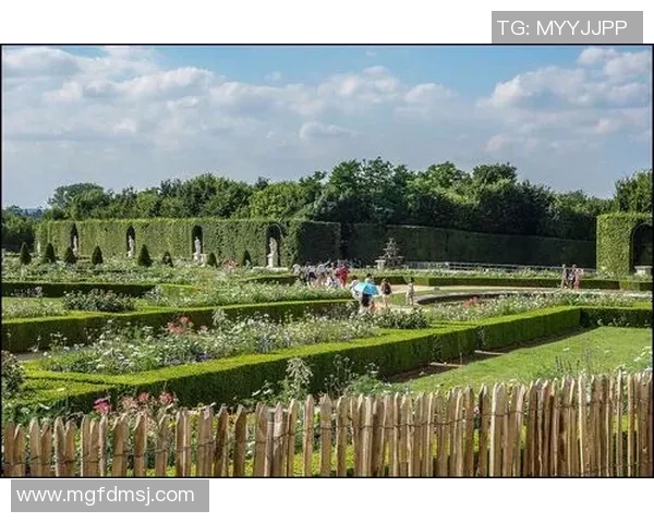 加莱诺的艺术世界探索与人文精神的深度交融之旅 加莱诺的艺术世界探索与人文精神的深度交融之旅