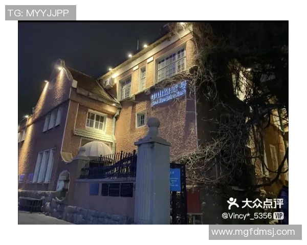 赫伯特琼斯的篮球之路与成长故事解析