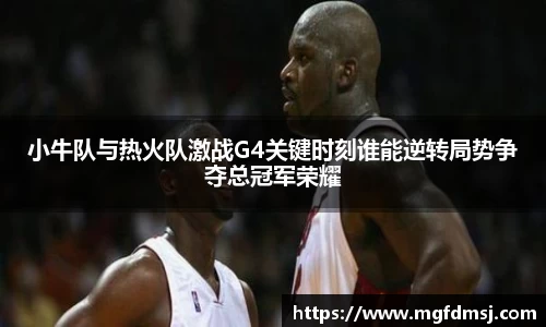 小牛队与热火队激战G4关键时刻谁能逆转局势争夺总冠军荣耀